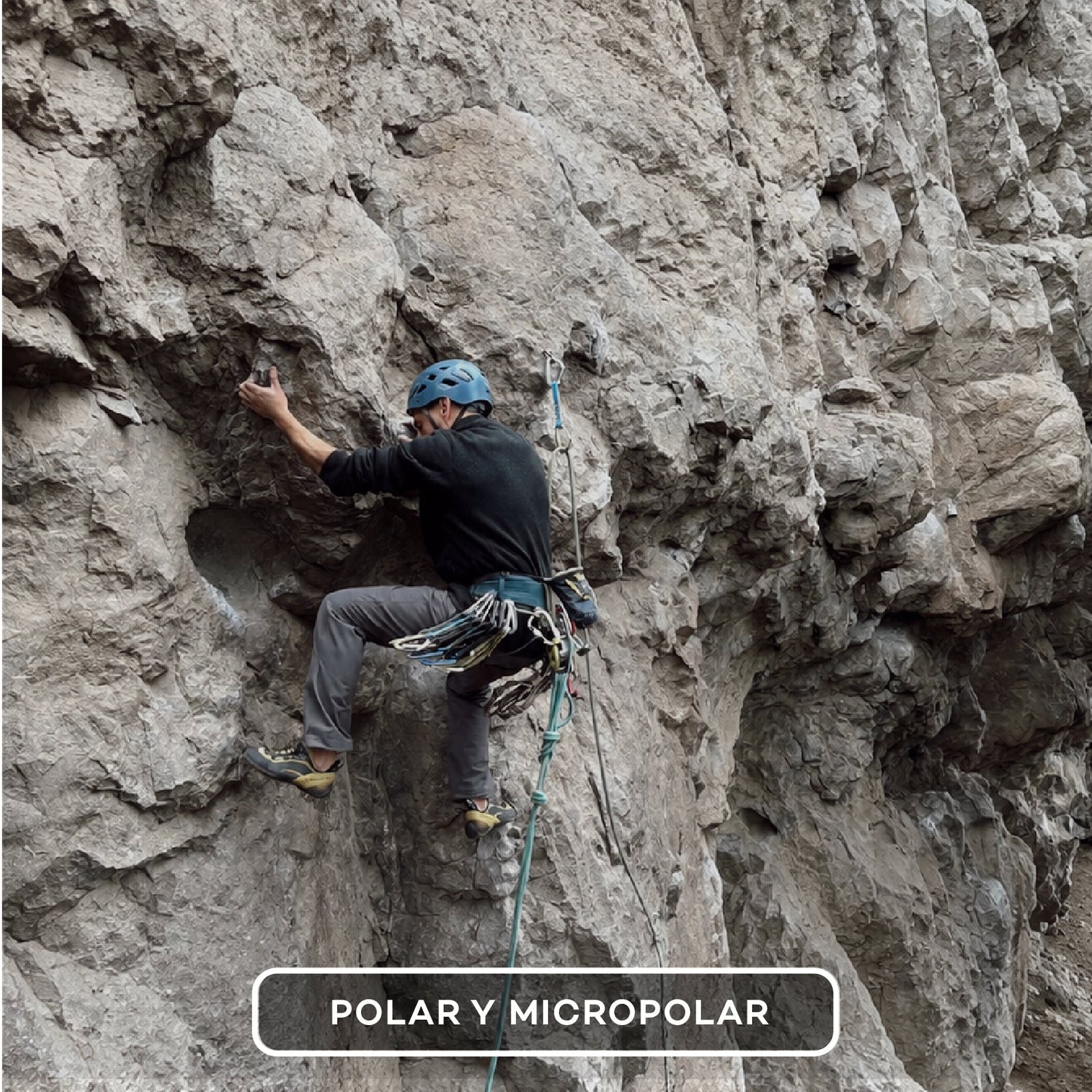 POLAR Y MICROPOLAR